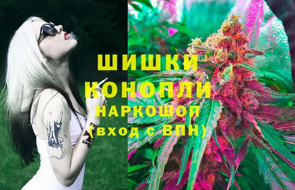 PSILOCYBIN Богданович